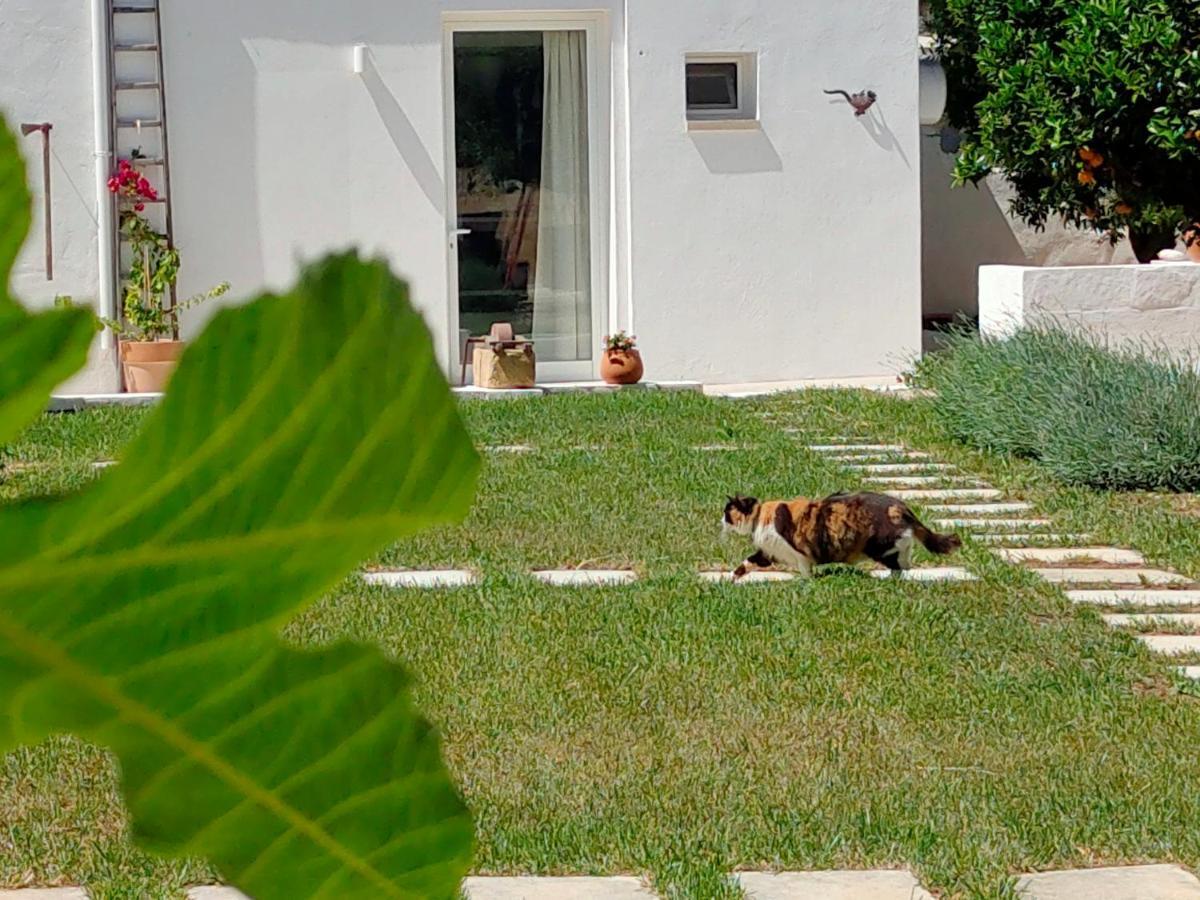 Corte Mercurio B&B Ugento Exteriér fotografie