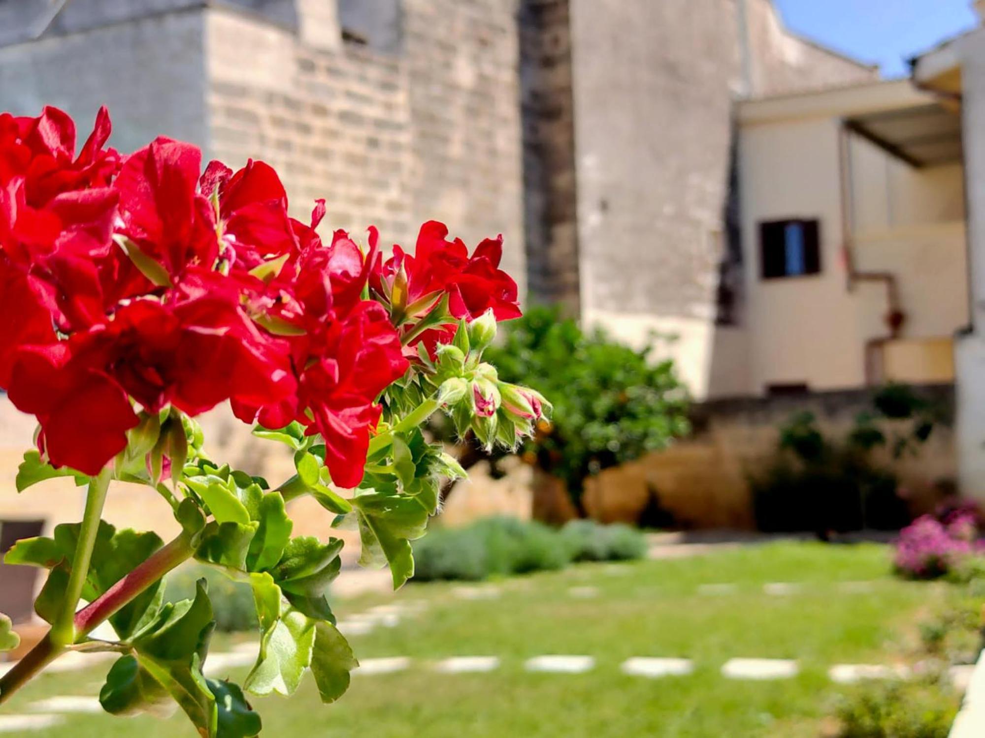 Corte Mercurio B&B Ugento Exteriér fotografie