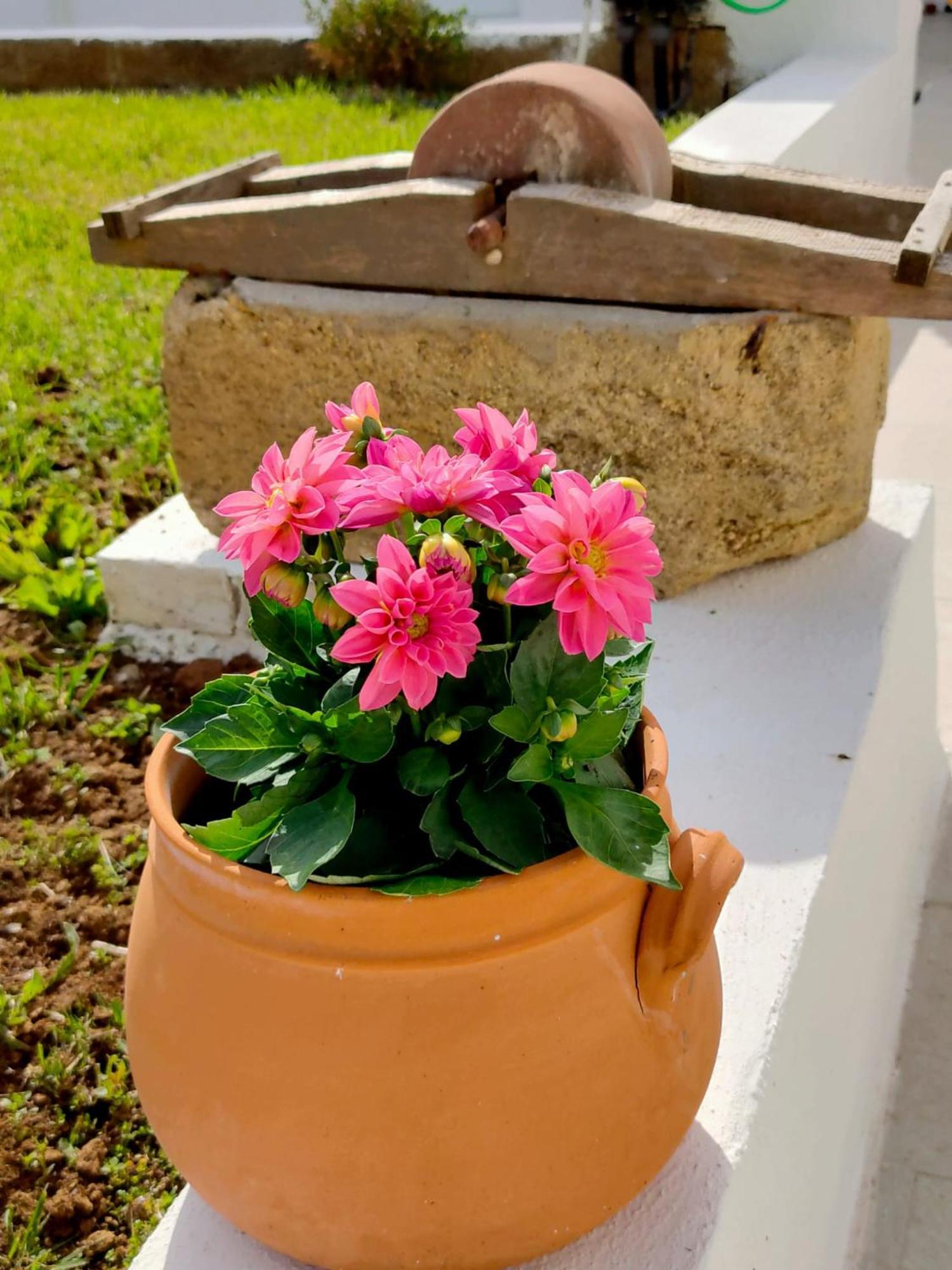 Corte Mercurio B&B Ugento Exteriér fotografie