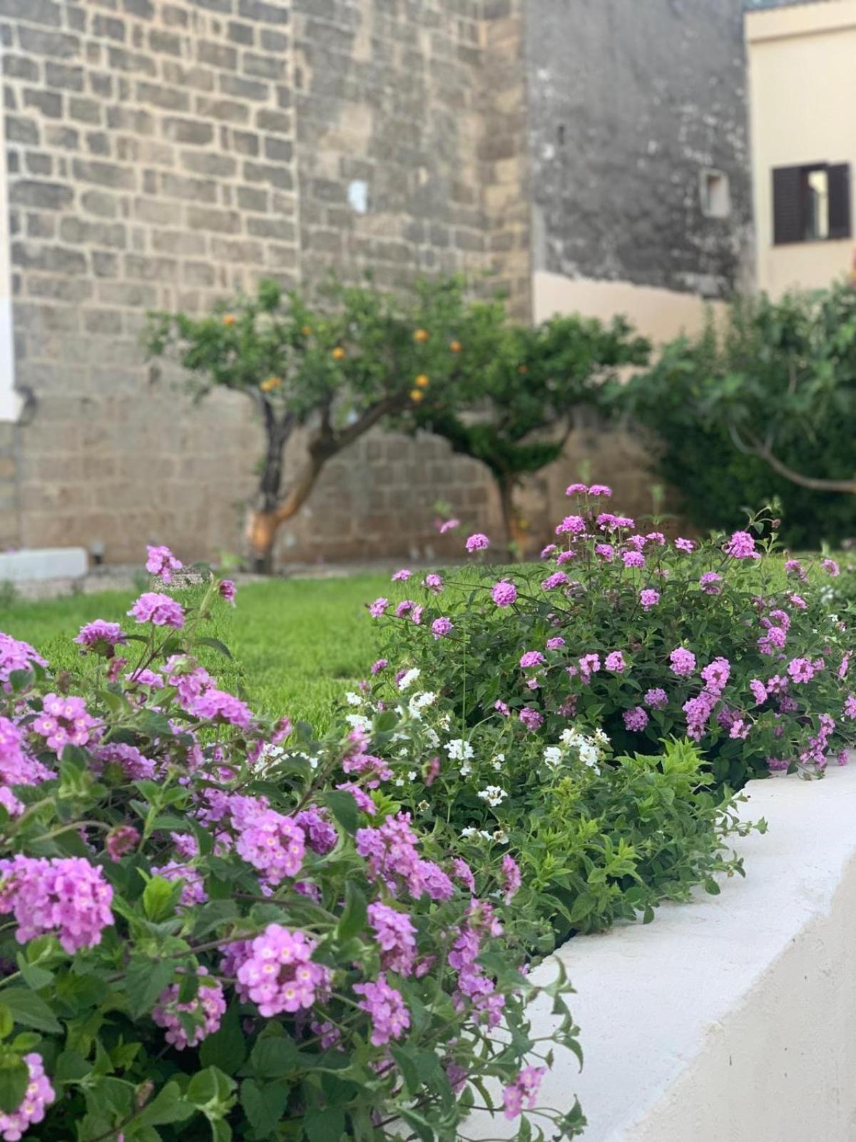 Corte Mercurio B&B Ugento Exteriér fotografie