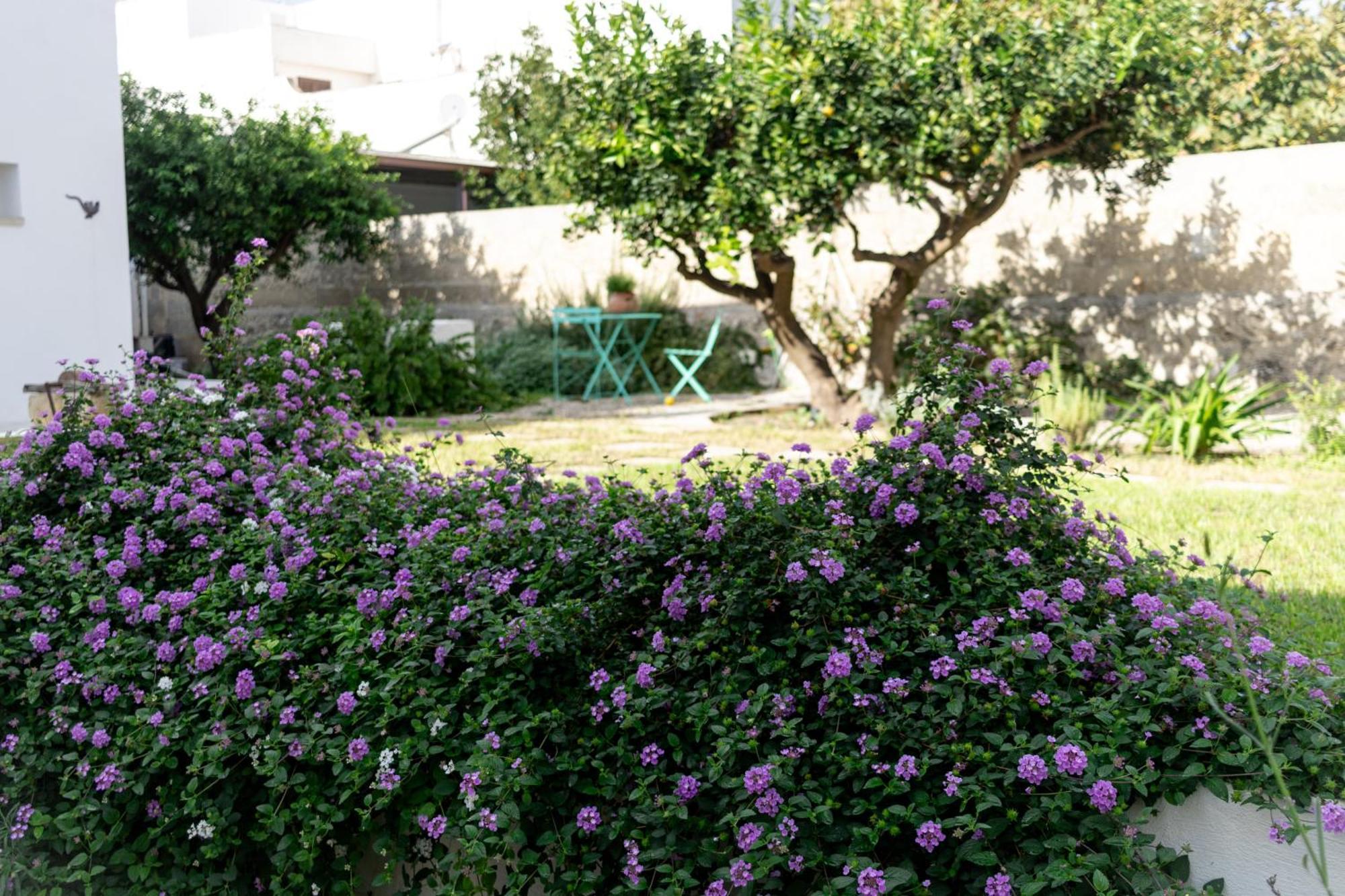 Corte Mercurio B&B Ugento Exteriér fotografie